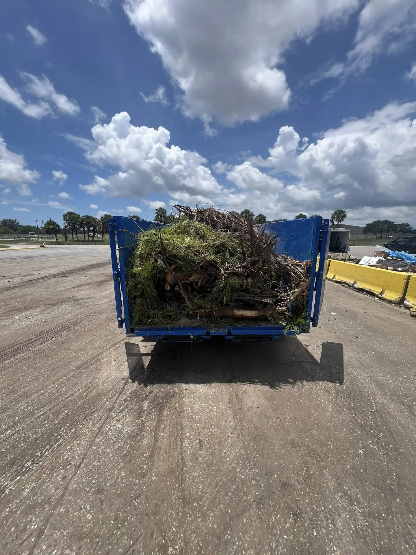 Tree-trimming branches and yard debris loaded into a blue dump trailer.